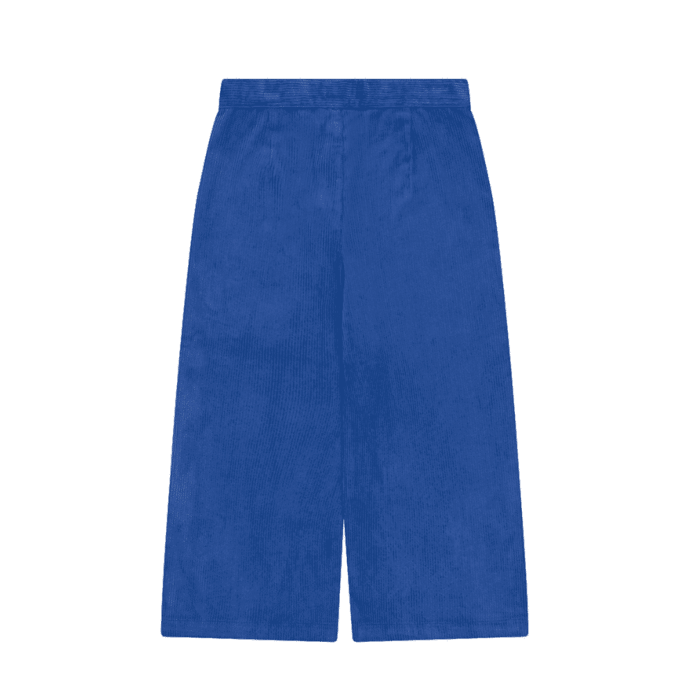 Tiny Cottons / Fløjlsbukser / Blå — billede 2