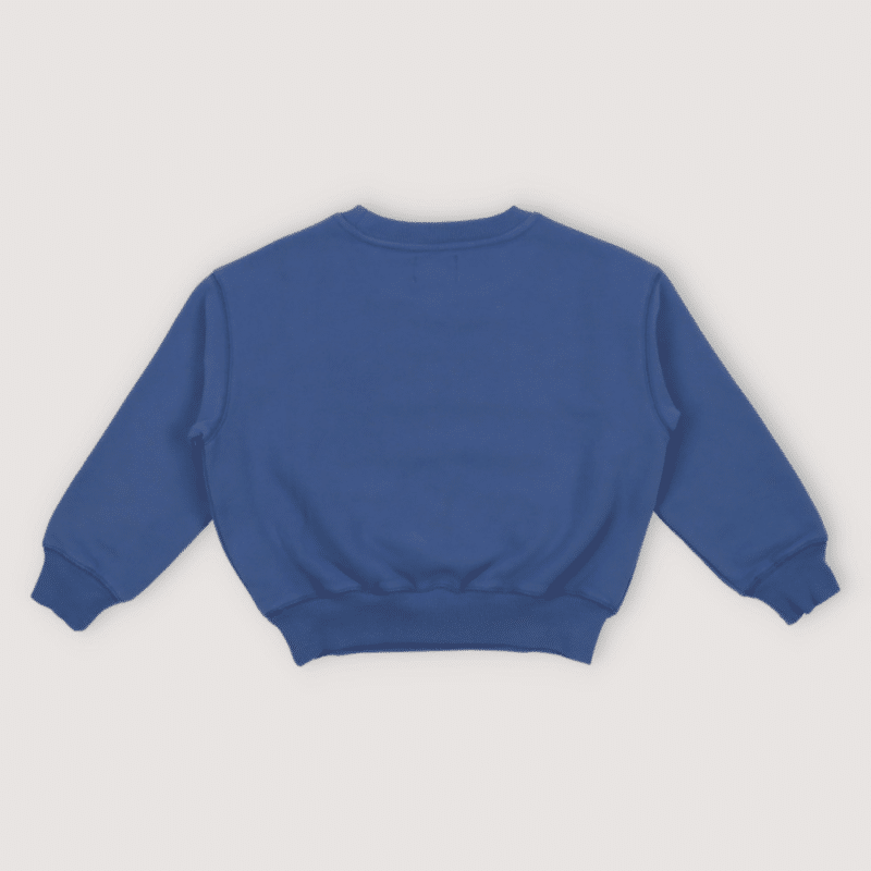 The new society sweatshirt blå artic